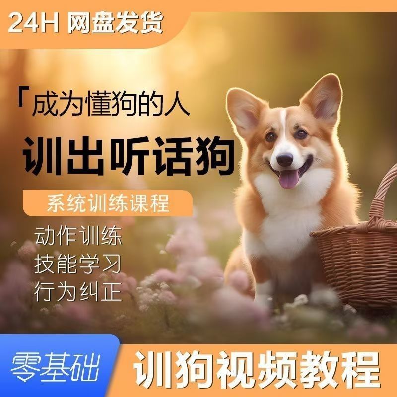 养狗训犬教程